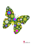 Schmetterling Vorlage 6